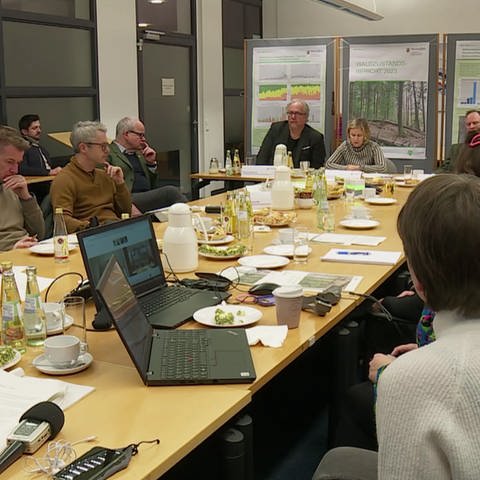 Gesprächsrunde zum Waldzustandsbericht (Foto: SWR)