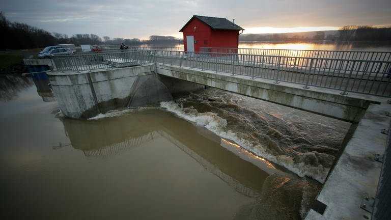 Der Polder in Ingelheim wird das erste Mal geflutet (Foto: picture-alliance / Reportdienste, Picture Alliance)