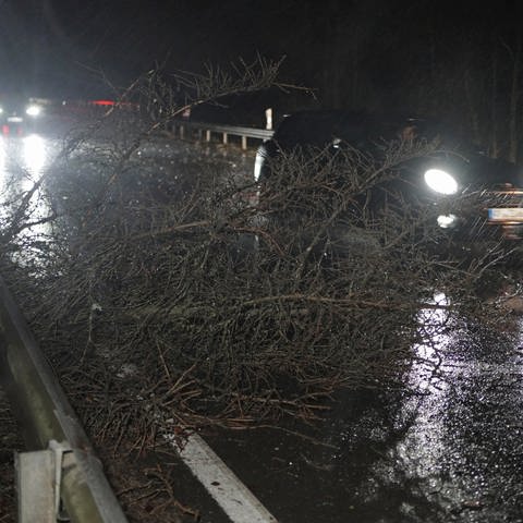Ein Baum, der wegen dem Unwetter auf die Straße gestürzt ist (Foto: picture-alliance / Reportdienste, Picture Alliance)