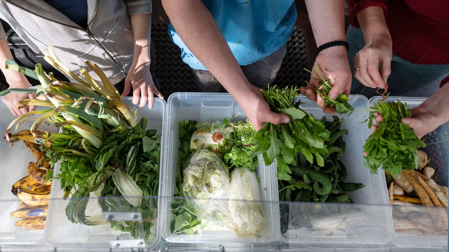 Ehrenamtliche Helfer sortieren in einer Foodsharing-Station Lebensmittel. (Foto: dpa Bildfunk, picture alliance/dpa | Marijan Murat)