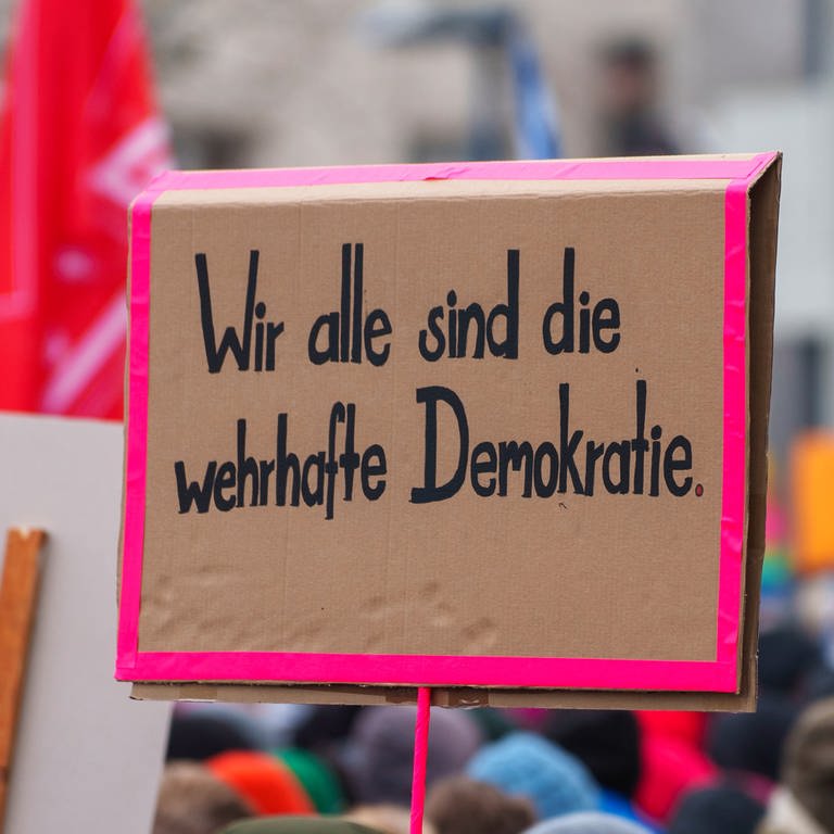 Ein Schild auf einer Demo gegen rechts (Foto: dpa Bildfunk, picture alliance/dpa | Andreas Arnold)