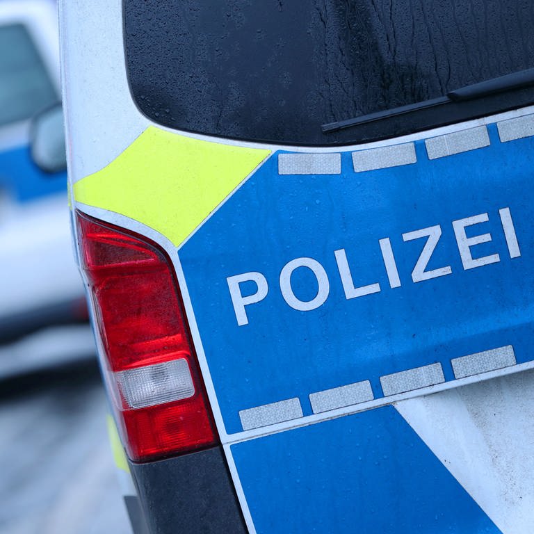 Zwei Polizeiwagen parken hintereinander (Foto: dpa Bildfunk, picture alliance / Maximilian Koch | Maximilian Koch)