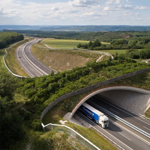 Eine Grünbrücke überquert die Bundestrasse B50. (Foto: dpa Bildfunk, Picture Alliance)