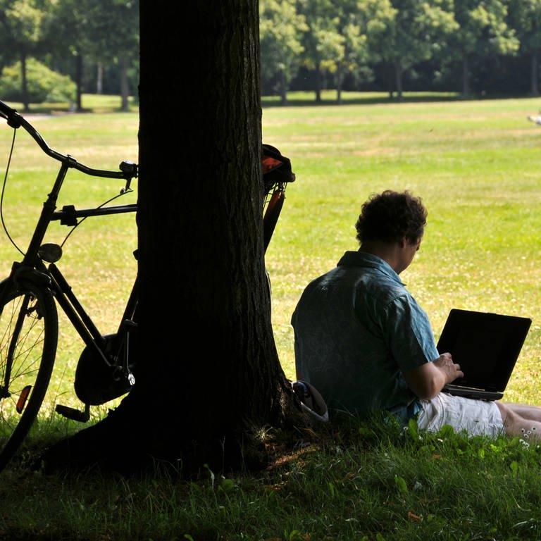 Ein Mann sitzt mit Laptop unter einem Baum im Park (Foto: dpa Bildfunk, picture alliance / dpa | Uwe Zucchi)