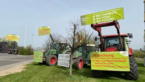Landwirte protestieren am Montag in Alzey anlässlich des Besuches von Kanzler Olaf Scholz (SPD). (Foto: SWR)