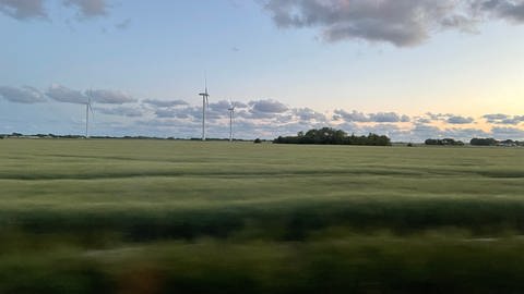 Grüne Landschaft mit Windrädern aus dem Zug raus fotografiert. (Foto: SWR, Carolin Keil)