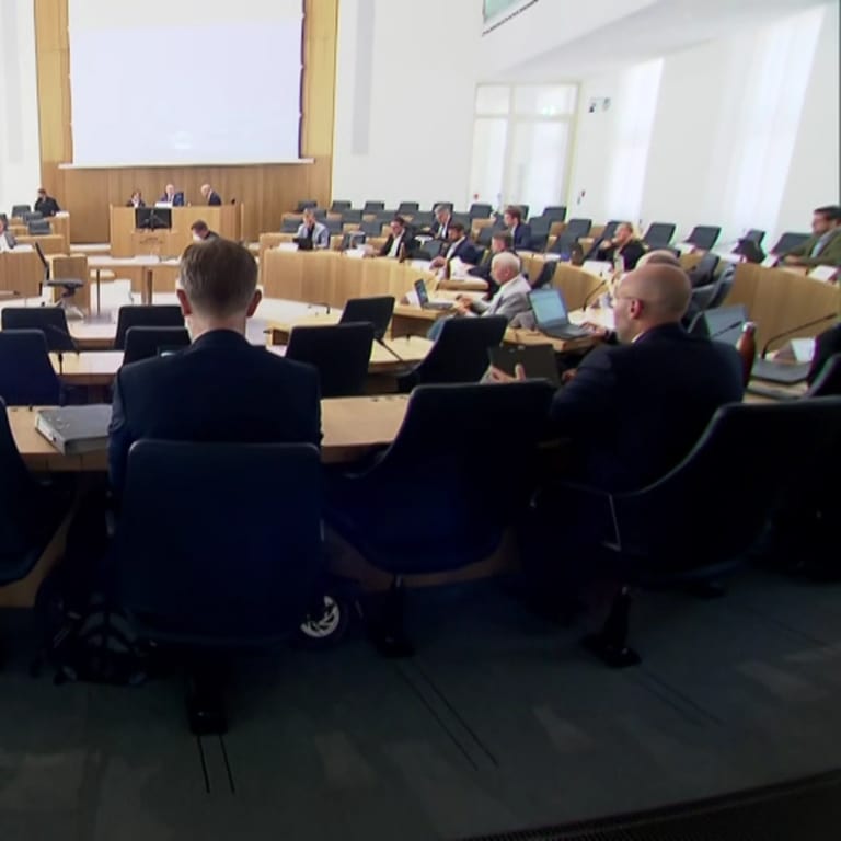 Die Mitglieder des U-Ausschusses im rheinland-pfälzischen Landtags (Foto: SWR)
