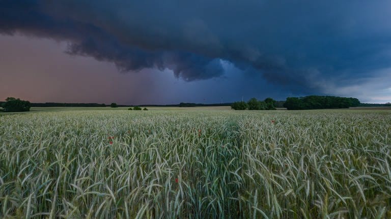 Am späten Abend zieht eine Gewitterzelle mit dunklen Regenwolken über die Landschaft. (Foto: dpa Bildfunk, Picture Alliance)