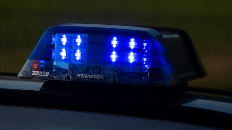 Blaulicht auf einem Polizeiauto bei Dunkelheit - in der Nacht zu Sonntag gab es mehrere Polizeieinsätze in Rheinland-Pfalz