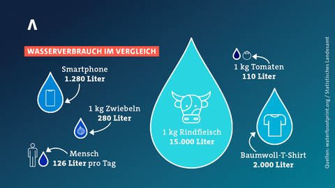 Grafik zum Wasserverbrauch im Vergleich (Foto: SWR)