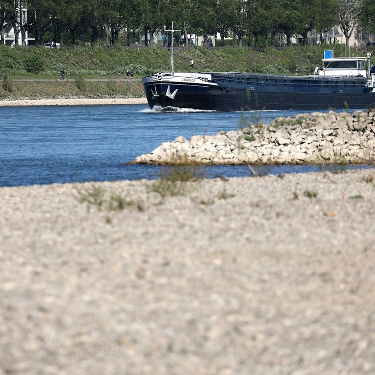 Niedrigwasser auf dem Rhein (Foto: dpa Bildfunk, picture alliance/dpa | Oliver Berg)