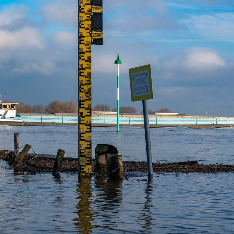 Mit einer Pegellatte wird der WAsserstand am Rhein festgestellt (Foto: dpa Bildfunk, picture alliance / Jochen Tack | Jochen Tack)