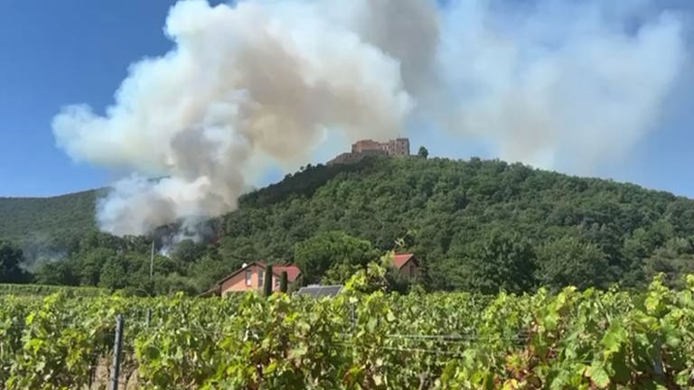 Feuer unterhalb vom Hambacher Schloss (Foto: SWR, SWR)
