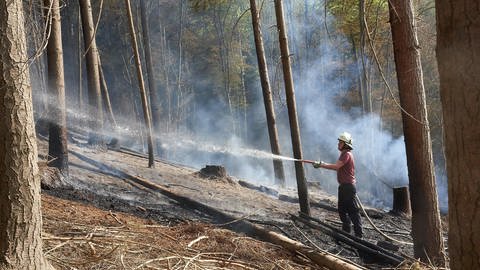 Ein Feuerwehrmann löscht einen Waldbrand im Westerwald bei Waldbreitbach. (Foto: picture-alliance / Reportdienste, Picture Alliance)