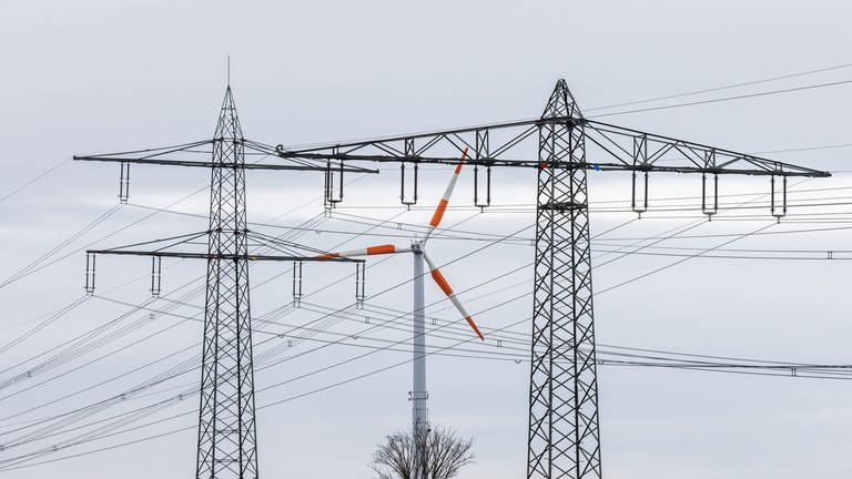 Dreyer: Staat soll Regulierung des Strompreises prüfen (Foto: picture-alliance / Reportdienste, picture alliance/dpa | Philipp von Ditfurth)