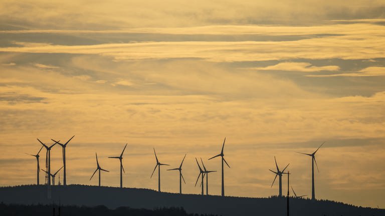 Windkraft profitiert am meisten von hohen Strompreisen (Foto: picture-alliance / Reportdienste, picture alliance/dpa | Andreas Arnold)
