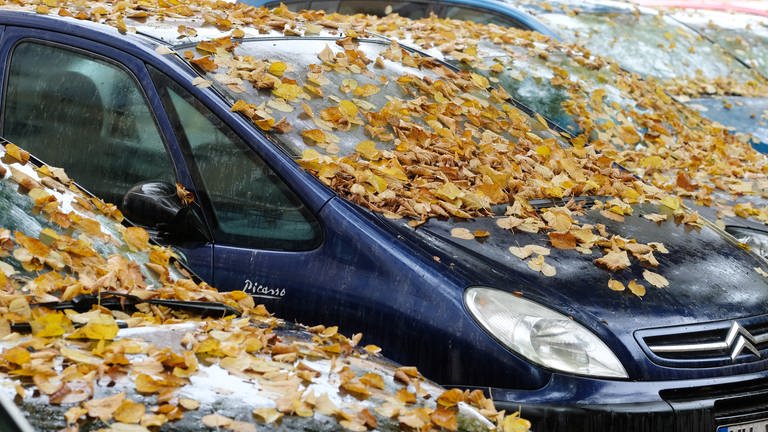 Ein Auto ist mit abgefallenen gelben Lindenblättern übersät - der November startet feucht und grau in Rheinland-Pfalz. (Foto: dpa Bildfunk, Picture Alliance)