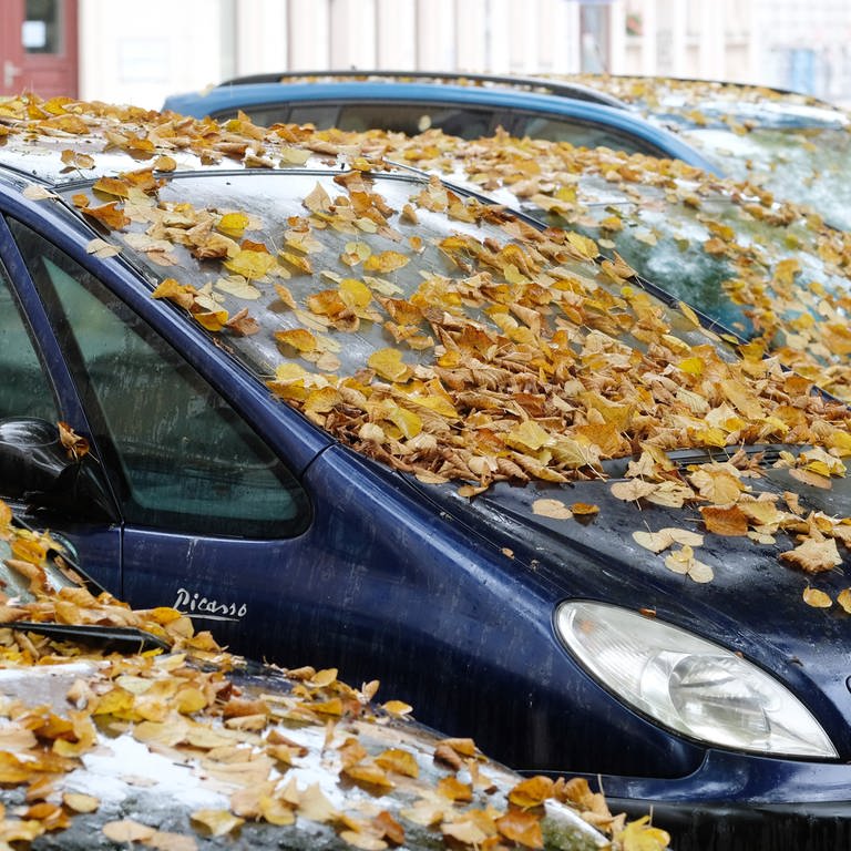 Ein Auto ist mit abgefallenen gelben Lindenblättern übersät - der November startet feucht und grau in Rheinland-Pfalz. (Foto: dpa Bildfunk, Picture Alliance)