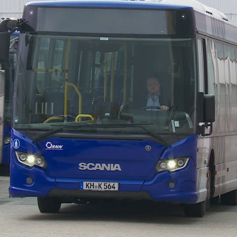 Schulbus (Foto: SWR, SWR)