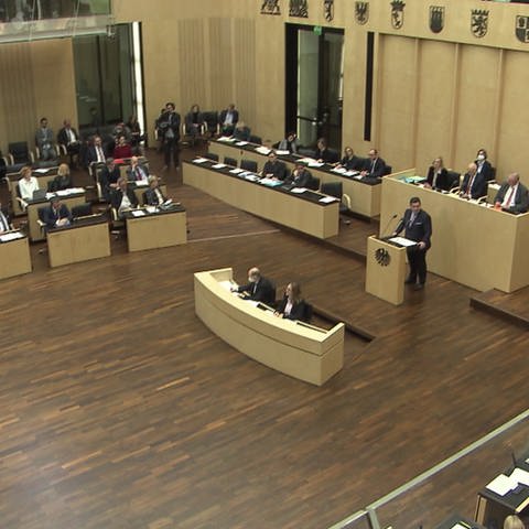 Bundesrat (Foto: SWR, SWR)