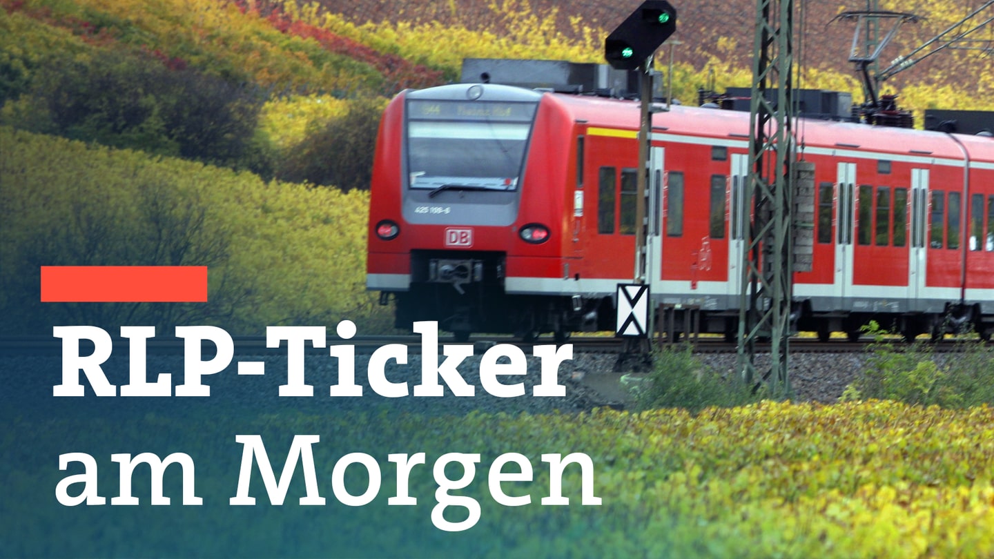 Ein Zug in den Weinbergen in Rheinland-Pfalz (Foto: dpa Bildfunk, SWR, Picture Alliance)