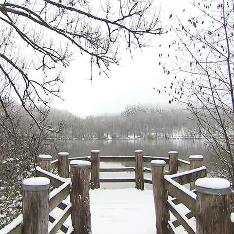 Schnee in Gillenfeld (Foto: SWR)
