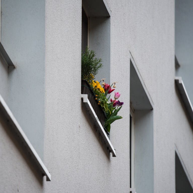 Wohnblockfront mit Blumen