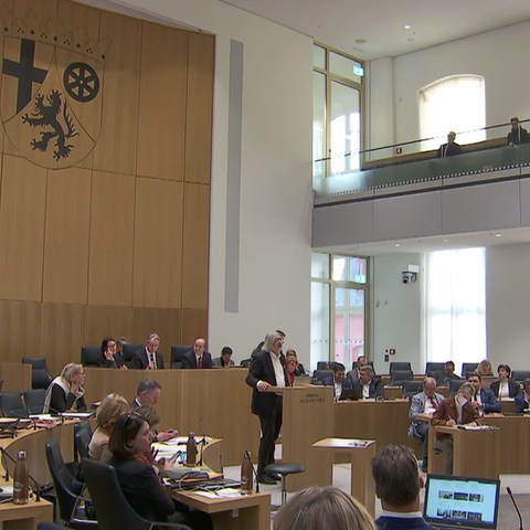 Landtag Rheinland-Pfalz