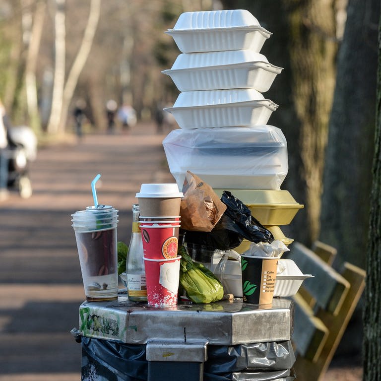 Ein voller Mülleimer in einem Park (Foto: dpa Bildfunk, picture alliance/dpa/dpa-Zentralbild | Jens Kalaene)