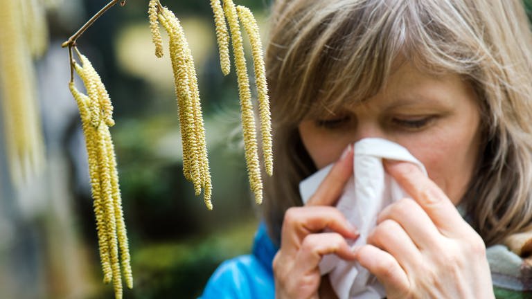 Pollenflug - schlechte Zeiten für Allergiker (Foto: dpa Bildfunk, Picture Alliance)