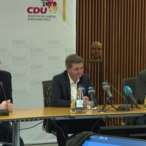 CDU Fraktion (Foto: SWR)