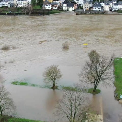 Hochwasser (Foto: SWR)