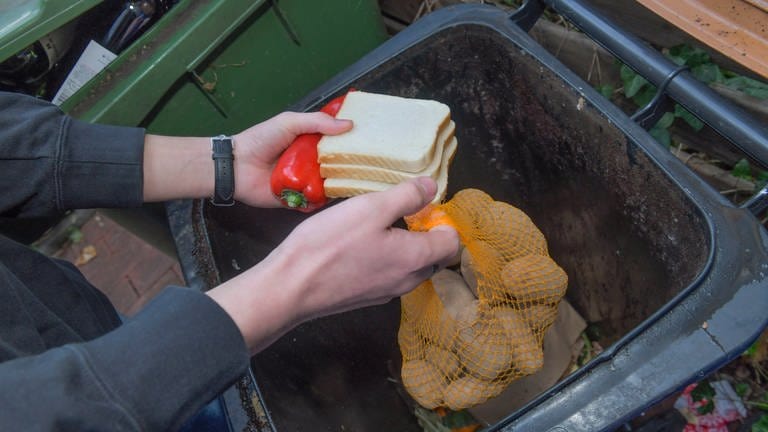 Eine Person holt Paprika, Kartoffeln und Toast aus einer Mülltonne.  (Foto: dpa Bildfunk, picture alliance / Bildagentur-online/Schoening | Bildagentur-online/Schoening)