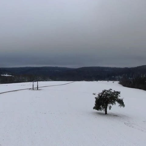 Schneebedeckte Landschaft