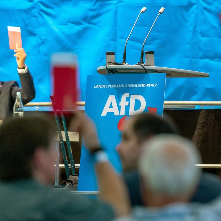 Delegierte halten auf dem Landesparteitag der rheinland-pfälzischen AfD Stimmzettel hoch (Archivbild). (Foto: dpa Bildfunk, picture alliance/dpa | Harald Tittel)