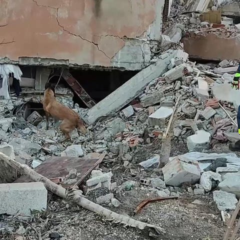 Einsatz im Erdbebengebiet der Türkei (Foto: SWR)