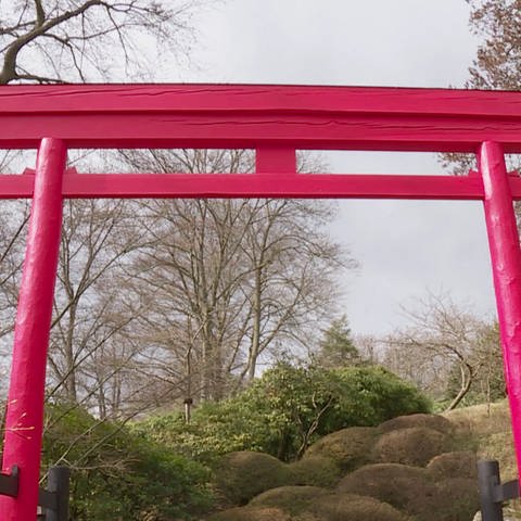 Tor zum Japanischen Garten in Kaiserslautern (Foto: SWR, SWR)