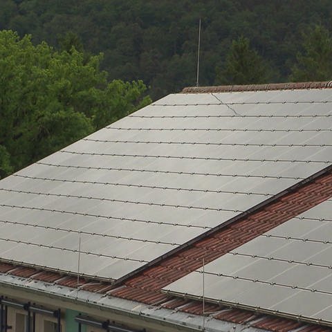 Photovoltaikanlage auf Dach (Foto: SWR, SWR)
