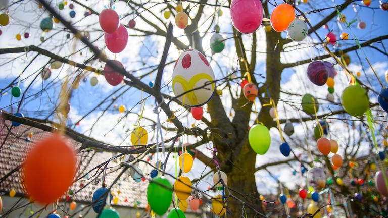 Zu Ostern ist ein Baum mit Ostereiern geschmückt. In RLP gibt es an den Feiertagen viele Bräuche.