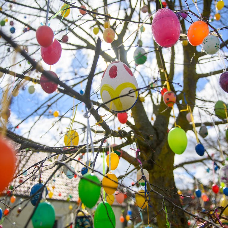 Zu Ostern ist ein Baum mit Ostereiern geschmückt. In RLP gibt es an den Feiertagen viele Bräuche.