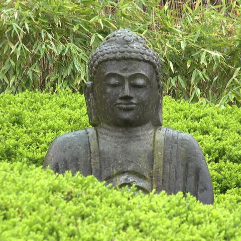 Buddha im botanischen Garten in Kaiserslautern (Foto: SWR)