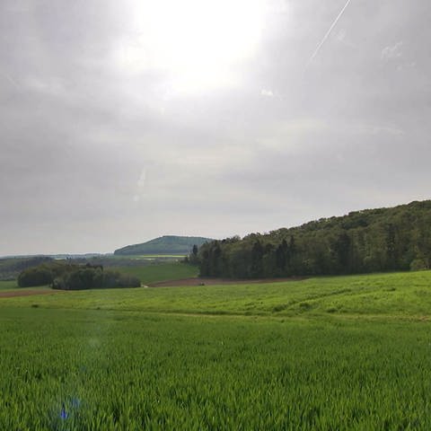 Landschaft