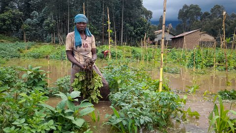 Die Flut in Ruanda hat auch Felder überschwemmt. Noch ist unklar, was das für die Ernte bedeutet. (Foto: picture-alliance / Reportdienste, picture alliance/dpa/AP | Rachid Bugirinfura)