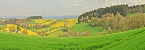 Eifel-Panorama vom Alten Postkutschenweg aus fotografiert: "Man sieht die in Blüten stehenden Rapsfelder die einen wunderbaren Kontrast zum noch grünen Getreide bilden", schreibt Leser Günter Berger dazu. (Foto: privat)
