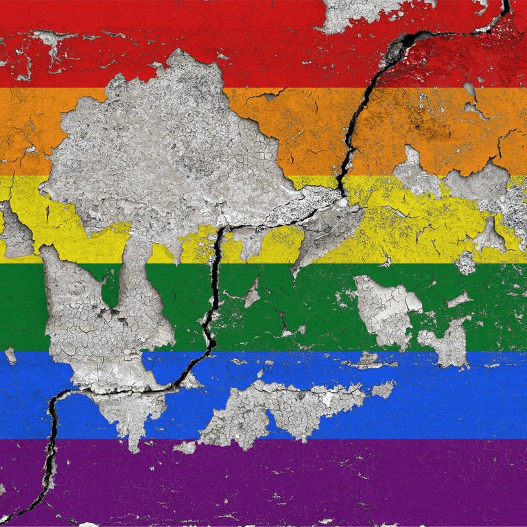 Eine Regenbogenflagge mit Rissen auf einer Wand (Foto: picture-alliance / Reportdienste, SULUPRESS.DE/Torsten Sukrow )