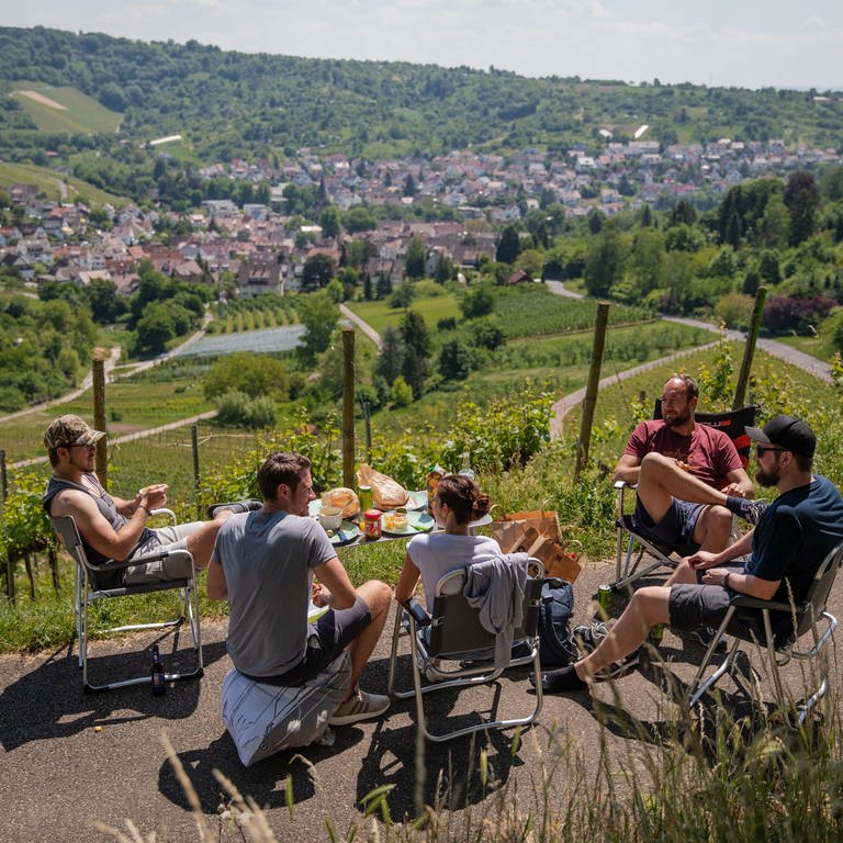 Eine Gruppe sitzt zwischen den Weinbergen und picknickt (Foto: dpa Bildfunk, picture alliance/dpa | Christoph Schmidt)