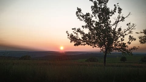 Sonnenuntergang bei Osburg (Foto: SWR, Ellen Ebert)