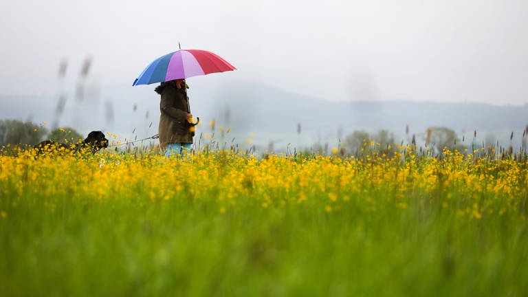 Eine Frau geht im Regen mit dem Hund spazieren - der Frühling war so nass wie seit Jahren nicht.