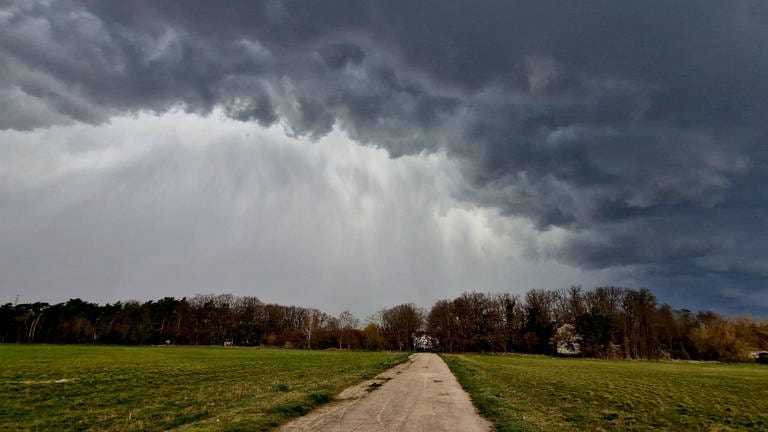 Für Rheinland-Pfalz sind Unwetter mit Starkregen angekündigt. (Foto: dpa Bildfunk, picture alliance/dpa/dpa-Zentralbild | Cevin Dettlaff)