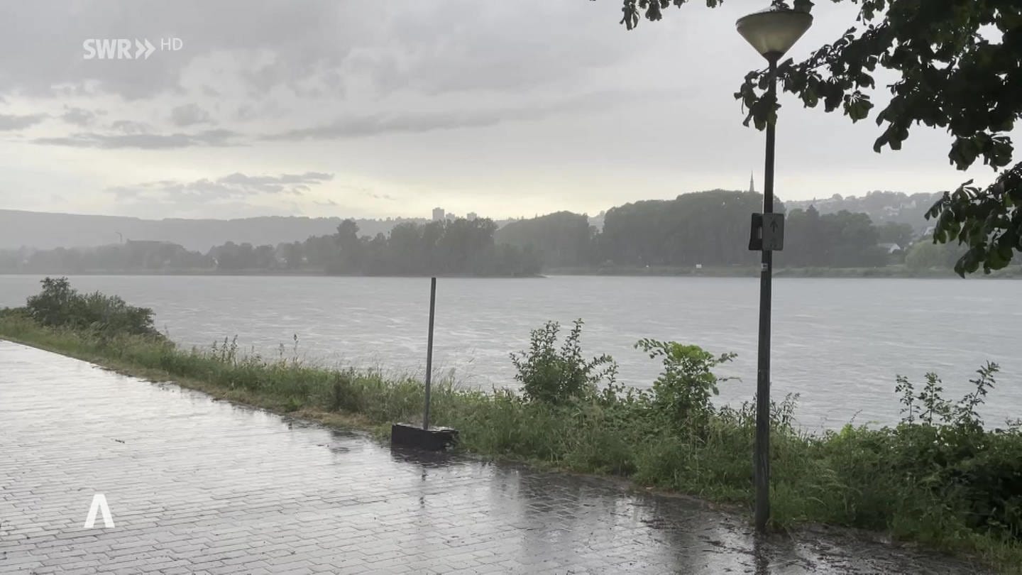 leichter Regen am Rheinufer (Foto: SWR)